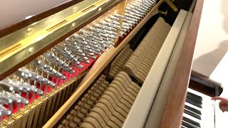 How PIANO pedals work shorts [upl. by Hildie769]