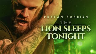 The Lion Sleeps Tonight  The Lion King amp The Tokens Disney Goes Rock Peyton Parrish Cover [upl. by Zasuwa705]