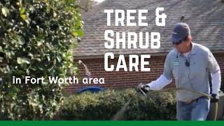 Tree and Shrub Care in Dallas Ft Worth Area [upl. by Gnap752]