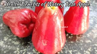 Water Apple  Rose Apple  Chambakka Healthy Benefits and Recipe PriyaRajDiaries [upl. by Coates]