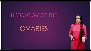 Histology of the Ovary [upl. by Bowes397]