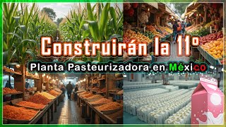 Producirán alimentos de calidad con las nuevas semillas y ganado para el campo mexicano [upl. by Ynoffit]