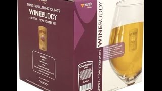 Youngs Winebuddy Chardonnay Homebrew Part 1 [upl. by Kreg]