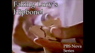 Faking Lucy’s Hipbone  PBS Nova  Biblicaltours [upl. by Miguel]