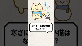 Q：寒さに１番強い猫って何ですか？ 猫 猫好きさんと繋がりたい ねこ [upl. by Edobalo419]