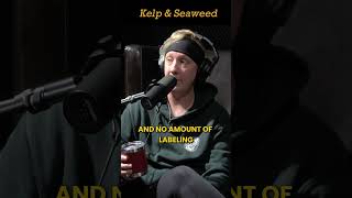 The SHOCKING Truth About Kelp vs Seaweed Exposed [upl. by Torruella]