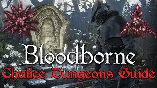 Chalice Dungeons Gems Farming Guide  Bloodborne [upl. by Nnaerb622]