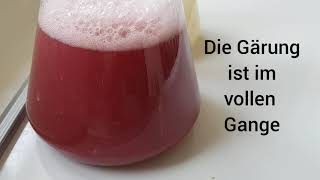 Die Alkoholische Gärung [upl. by Ulphi96]