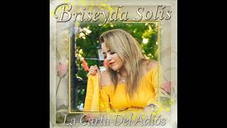 Briseyda Solis  Si No Fuera Por Ti Official Audio [upl. by Anaya530]