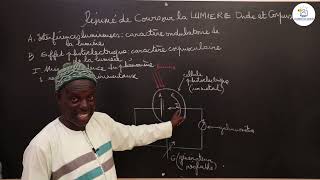 Cours  Terminale S  PC Physique  Résumé de cours sur la lumière Onde et Corpuscule  M Diop [upl. by Llerrat]