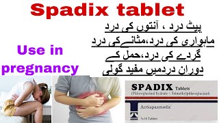 spadix tablet uses in urdu spadix tab use in pregnancyBenefits side effects how to use [upl. by Naryk]