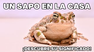 🔮🐸 El simbolismo de los SAPOS EN LA CASA ¡Te sorprenderá 🏡✨ [upl. by Lalla260]