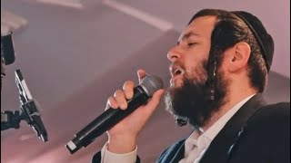 Shmueli Ungar amp En3rgy Band  Wedding [upl. by Remark]