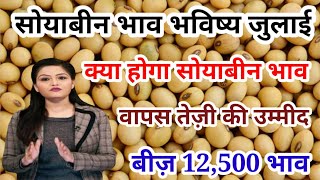 सोयाबीन भाव भविष्य जुलाई  क्या होगा सोयाबीन भाव  Soybean bhavishya july  soyabean future rate [upl. by Naida]