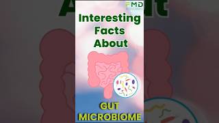 Interesting Facts about the Gut Microbiome  FMD ImuPro [upl. by Ainelec]