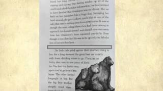 The Birchbark House read by Mrs Mandrelle Part 4 [upl. by Dazraf]