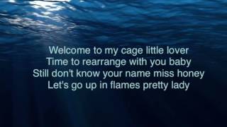 Missio • Bottom Of The Deep Blue Sea Lyrics [upl. by Lodhia]