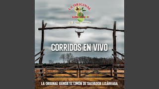 El Corrido Del Sinaloense En Vivo [upl. by Baudin]