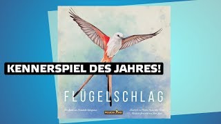 Flügelschlag  Kennerspiel des Jahres 2019  Brettspiel  Erklärvideo [upl. by Juetta]