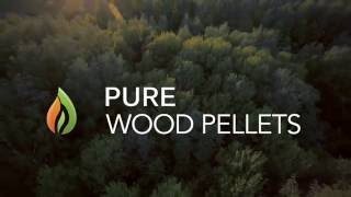 Pure Wood Pellets Absorbency Test [upl. by Ahsienar877]