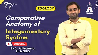 Comparative Anatomy of Integumentary System  Zoology  S Chand Academy [upl. by Divd]