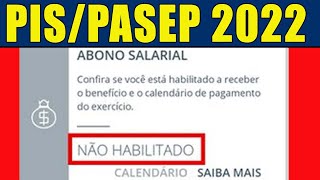 PISPASEP NÃO HABILITADO VOU RECEBER [upl. by Eseilenna]