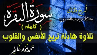 سورة البقرة كاملة 💚طاردة الشياطين تلاوة هادئة💚 صوت يريح الأنفس والقلوب 💚 surat al baqara [upl. by Clynes]