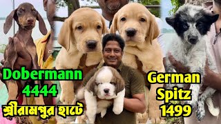 1499 টাকায় কুকুরছানা কিনুন । Serampore Pet Market Location। Dog Market Serampore [upl. by Nolos]