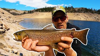 Fishing for Big Brown Trout at a Secluded Colorado Reservoir in Early Summer [upl. by Zahc]