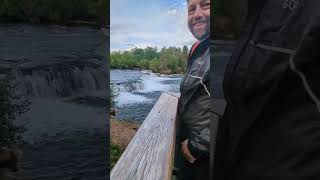 Katmai National Park  Brooks Camp Bears [upl. by Enirol]