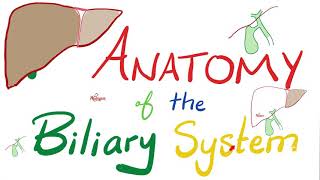 Anatomy of the Biliary System 🤮  Quick Review [upl. by Acillegna]