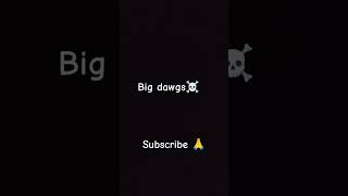 Big Dawgs music rap hiphop subscribe [upl. by Akemeuwkuhc888]