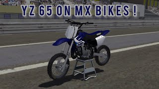 YZ 65 2020 ON MX BIKES [upl. by Nine]