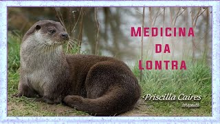 Medicina e meditação da Lontra [upl. by Gnanmas]