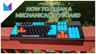 How to Clean Your Mechanical Keyboard  Tech Tip Tuesday [upl. by Yasmin]