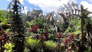 Returning to Pandora The World of Avatar at WDW’s reopened Disney’s Animal Kingdom [upl. by Averell664]