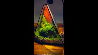 DIY tutorial Create a mountain landscape withmoss in a stainedglass Rainbow ice peak terrarium [upl. by Otrevire]