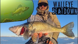 Ice Fishing INSANE School of Walleyes on Early Ice [upl. by Eseela]