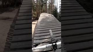 Insane MTB Bike Park…😳 mammothbikepark mtb shorts downhill [upl. by Aneehsar581]