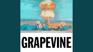 Grapevine Tujamo Extended Remix [upl. by Nylla200]