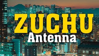 ZUCHU  ANTENNA OFFICIAL LYRICS VIDEO antennawasafizuchugoogle [upl. by Talmud]