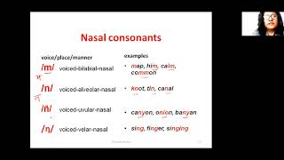 Pronunciation  The Consonant Sounds [upl. by Muriel532]