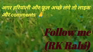 youtubeआध्यात्मिकstories motivation love song rahi [upl. by Marilla]