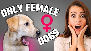 8 WEIRDEST Things Only FEMALE Dogs Do – 6 Will Surprise You [upl. by Nae]