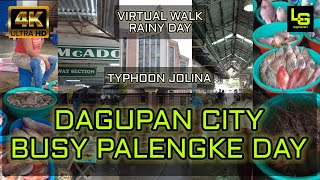 VIRTUAL WALK  ROAMING AROUND DAGUPAN CITY PUBLIC MARKET  PANGASINAN PHILIPPINES [upl. by Yla]