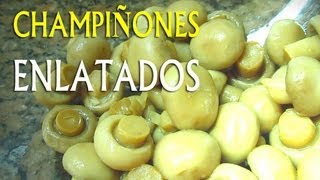 Champiñon  Alimentos con potasio Vitaminas y minerales [upl. by Piwowar]