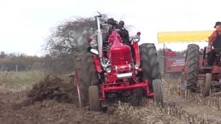 Dirt Farmer Mighty M FIRST Plowing 2013 [upl. by Llebiram118]