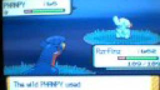 Pokemon Diamond  Pokeradar Shiny Phanpy [upl. by Ddahc]