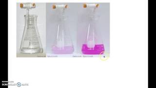 Antacid Titration Experimental Set Up [upl. by Channing]