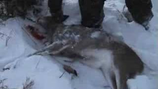 Iowa late muzzleloader deer hunting [upl. by Tyoh]